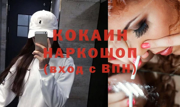 ешки Аркадак